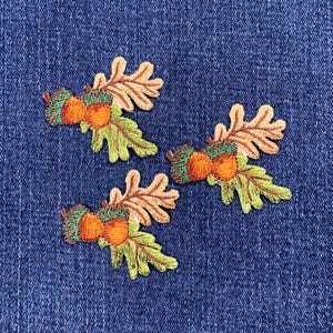 May include: Three embroidered iron-on patches featuring acorns and oak leaves in shades of brown, green, and orange.