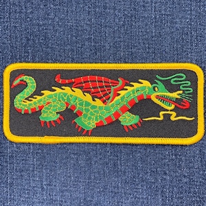 Könnte beinhalten: Ein gestickter Drachen-Patch in Grün, Rot und Gelb auf schwarzem Hintergrund mit gelbem Rand.