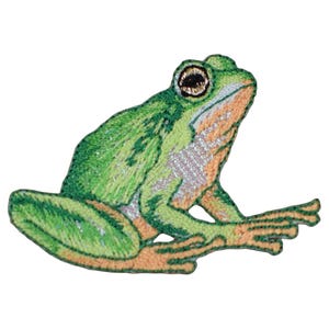 May include: Embroidered patch of a green frog with detailed stitching. The frog has large, dark eyes, a light orange throat, and silver accents. The patch is designed to be ironed on or sewn onto fabric, perfect for adding a decorative touch to clothing or accessories.