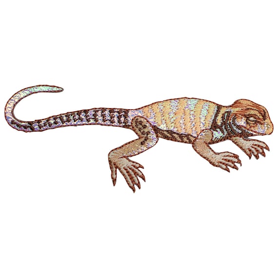 Shiny Brown Lizard Applique Patch Reptile Biology Badge - Etsy