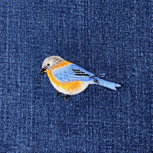 Pu&ograve; includere: Toppa ricamata di un uccello azzurro con testa grigia, ali blu e petto arancione. L'uccello ha dettagli neri ed &egrave; posto su uno sfondo di denim blu scuro. Per abbigliamento o accessori.