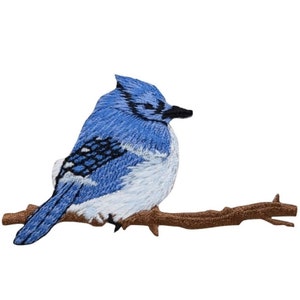 May include: Blue jay bird perched on a brown branch. The bird has a blue body with white underparts and a black crest.