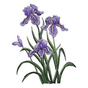Grand écusson appliqué iris - insigne de fleur brodé 6" (fer à repasser)