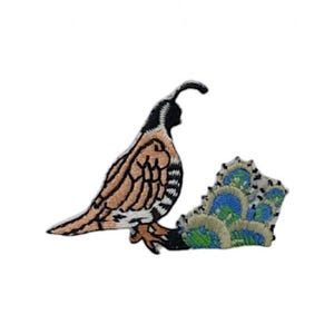 May include: Embroidered patch featuring a quail bird with a detailed design. The bird has a brown body, black and white accents, and a fan-shaped tail with blue, green, and beige details. Perfect for adding to clothing or accessories.