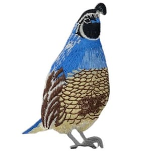 May include: Embroidered patch of a quail bird. The bird features a blue head and chest, with brown and tan patterned feathers on its body. The patch has a black head crest and gray feet, set against a white background.