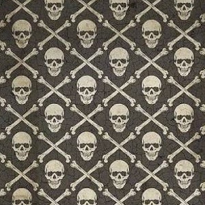 Crossbones Regions Beyond Tim Holtz Black Free Spirit Fabrics; 100% woven cotton quilting fabric