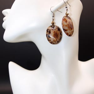Brown Seashell Earrings Beach Surgical Stainless Steel French Hooks Ocean