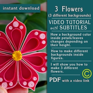 3 fleurs / Tutoriel vidéo / Art sur papier quilling / Etape par étape / Modèle / Comment faire