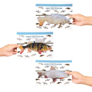 May include: Three cards are held up, each featuring a different fish illustration. The top card reads "Carp Fish Bunting", the middle card says "Perch Fish Bunting", and the bottom card says "Roach Fish Bunting". Each card has a blue border and small fish illustrations.