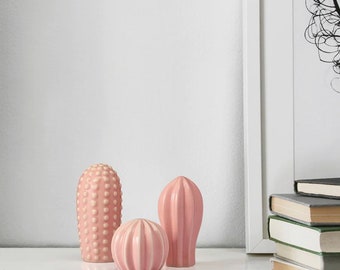 Mini Cactus  ceramic Pink Set