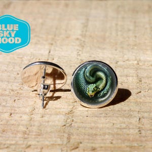 Può includere: Un paio di orecchini a bottone argentati. Un orecchino mostra un serpente verde arrotolato con occhi gialli su uno sfondo scuro. L'altro orecchino mostra il retro del bottone con il perno e la chiusura a farfalla. Gli orecchini sono su una superficie di legno.