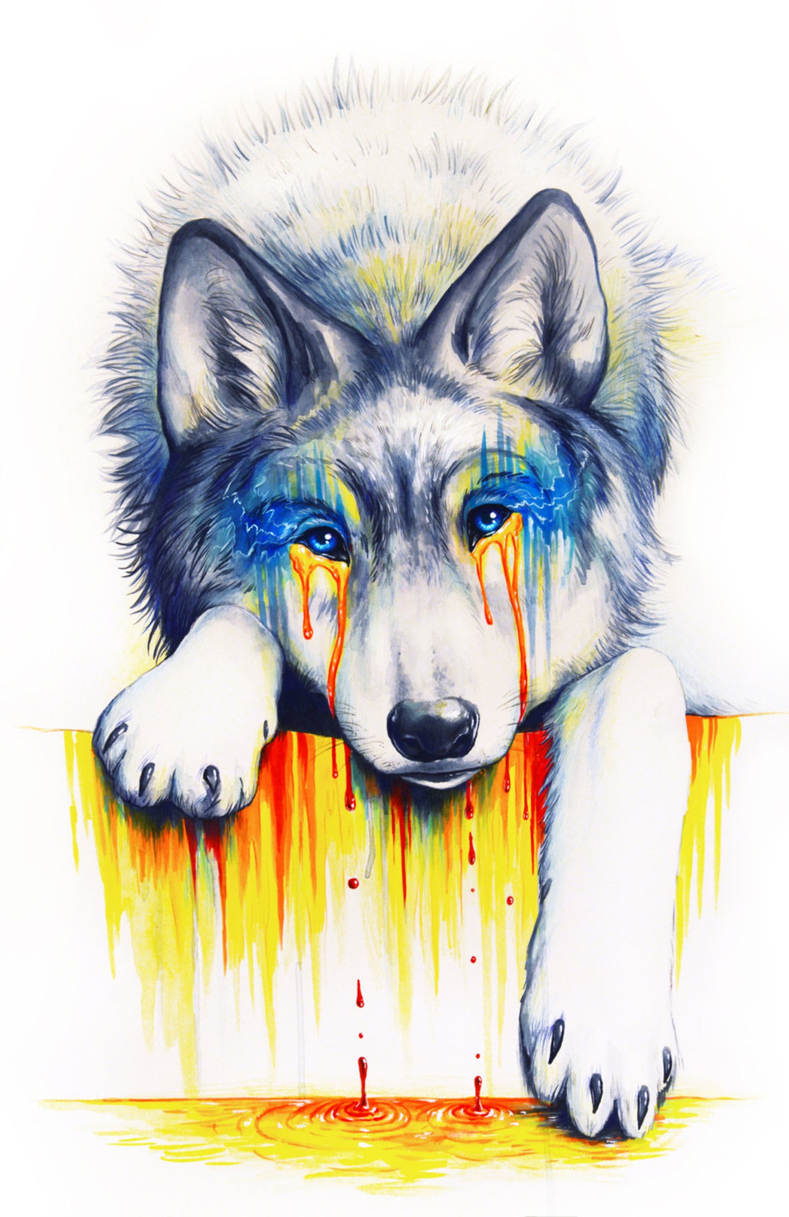 Цветные картинки волка. Jonas Jödicke волк. Волк рисунок. Волк арт. Картинки нарисованных Волков.