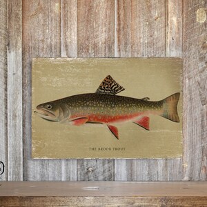 Vintage Fish Wood Sign Antique style fish print on wood Brook Trout art Man cave decor Fishing Sign Fisherman sign Gift for outdoorsman