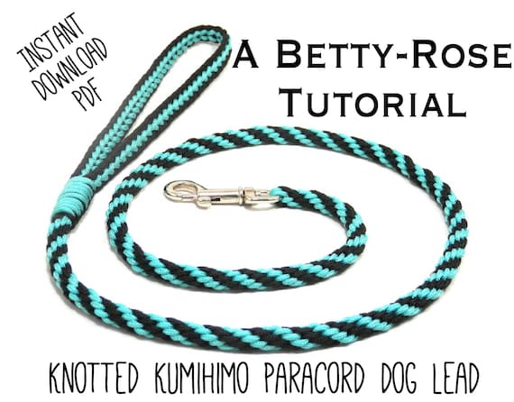 Tutorial for Kumihimo Paracord Dog Leash Lead No Glueing or Sewing Flat and  Round Braiding Instant Download PDF Pattern -  Canada