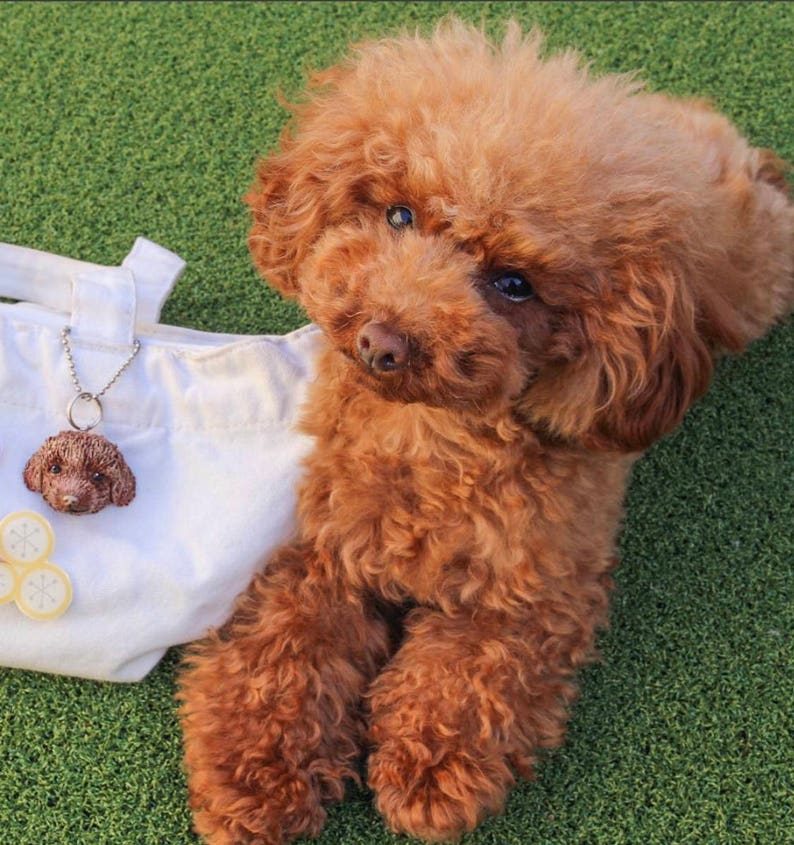 Customize Pet Collar Pendant