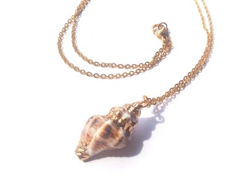 Collar de concha marina para amantes de la playa - Collar de concha bañada en oro natural para mujer - Joyería de moda para mujer - Regalo para ella