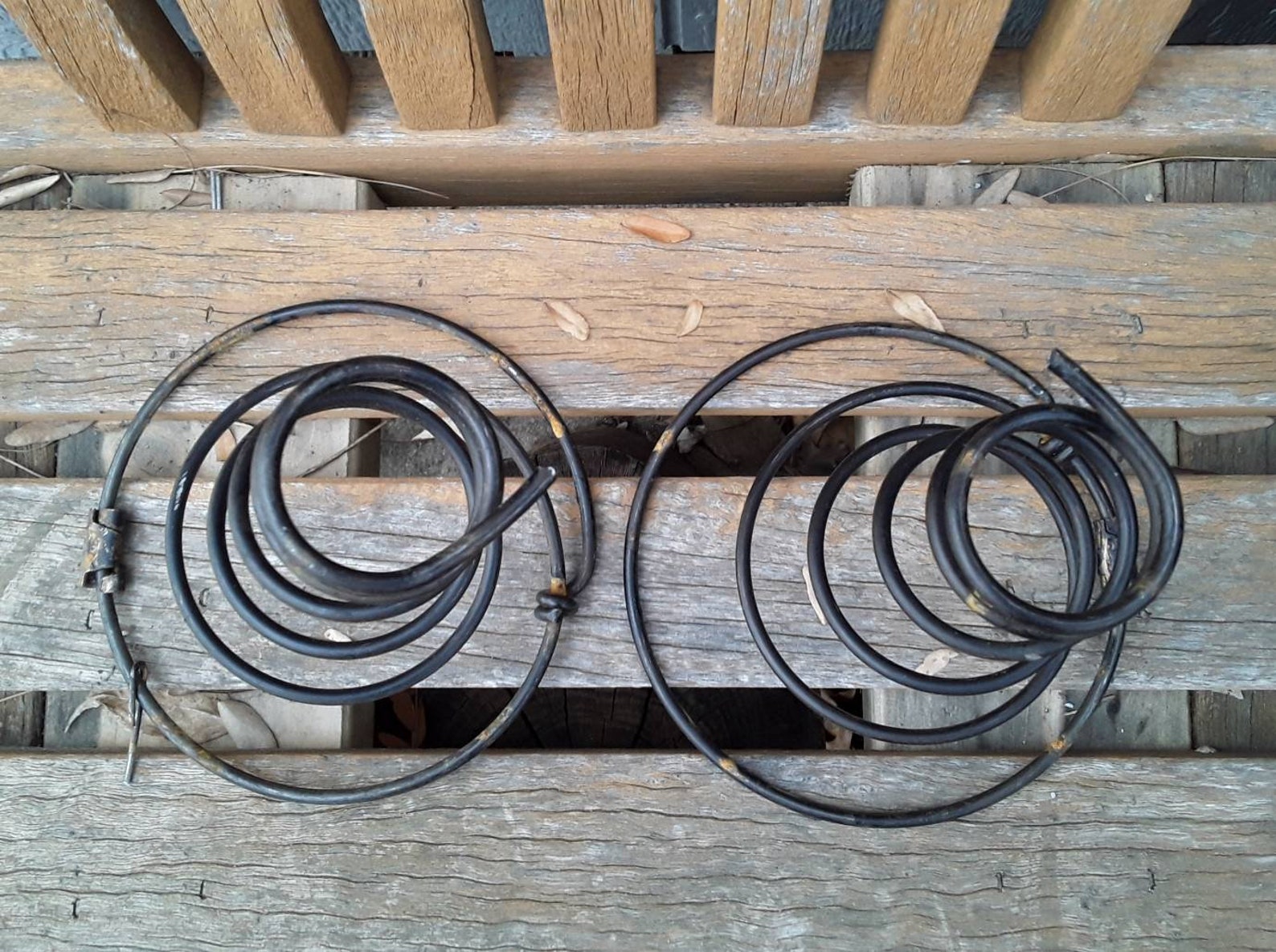 2 Rusty Bed Springs Vintage steel metal coiled mattress spring Etsy