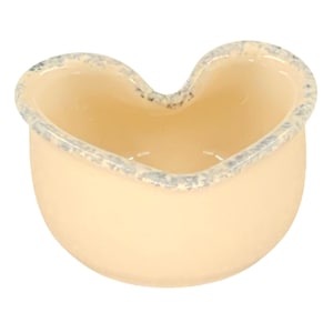 May include: A heart-shaped ceramic planter with a light beige glaze and a blue rim. The planter has a slightly distressed look, giving it a vintage feel.