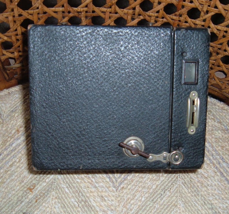 CLveg Coin Purse Card Package Coin Leather for Women Printing Series A Alpaca