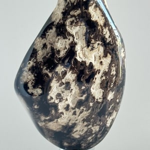 Op de afbeelding: Een gepolijste, abstracte sculptuur met een uniek patroon van donkerbruine en crèmekleurige wervelingen. De organische vorm staat op een heldere, vierkante basis, wat een opvallend contrast creëert. Het oppervlak van de sculptuur is glanzend en reflecterend.