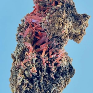 Könnte beinhalten: Eine Nahaufnahme eines roten Mineralproben mit einer rauen, strukturierten Oberfläche. Das Mineral ist in eine dunkelgraue Gesteinsmatrix eingebettet.