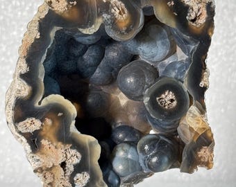 Rare Large Diamond Cave Fossil Agatized Coral Colony Geode