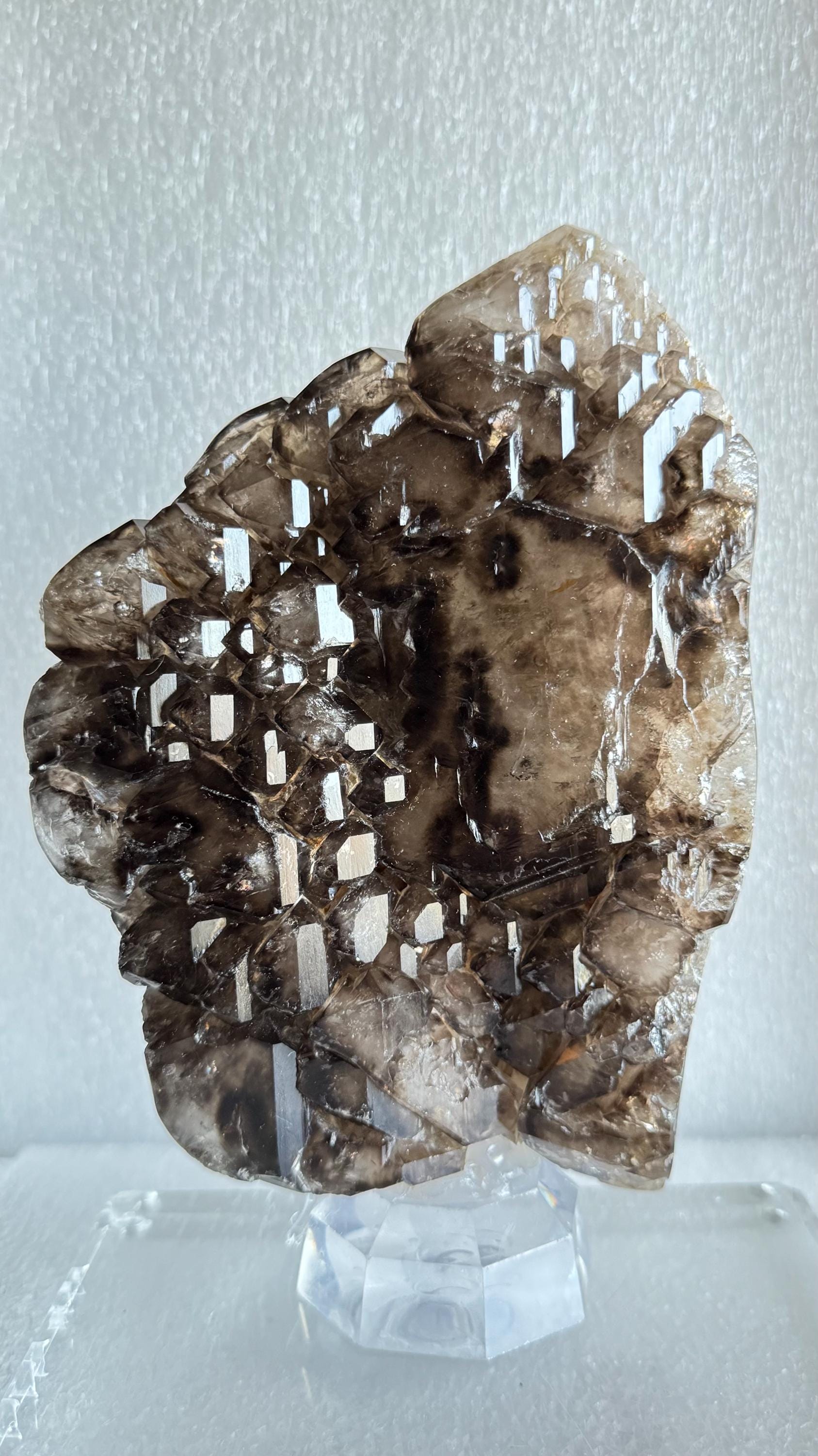 ナミビア、ノイ・シュヴァーベン産のエレスチャル・スモーキークォーツ