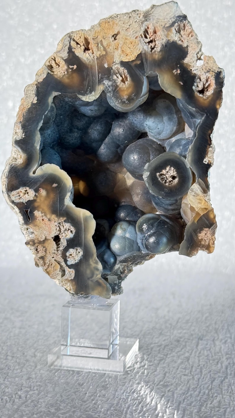 Rare Large Diamond Cave Fossil Agatized Coral Colony Geode - Etsy