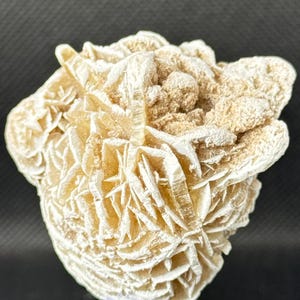 May include: A white and beige desert rose crystal formation on a clear acrylic stand. The crystal has a delicate, layered structure resembling a flower.