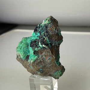 Könnte beinhalten: Ein grünes und braunes Mineralstück mit einer rauen, unregelmäßigen Oberfläche. Das Stück wird auf einem klaren Acrylsockel präsentiert.