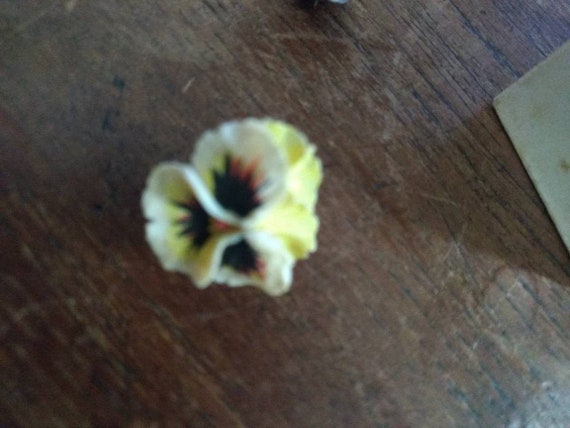 W. Haebler pansy porcelain pin from the 1940s thro