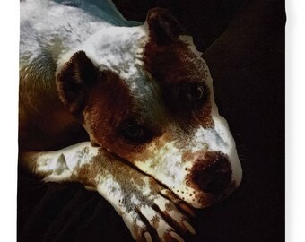 Loving Pitbull Eyes Throw Blanket by listing-store-51336015