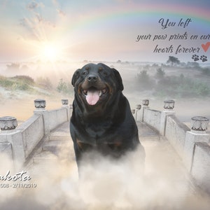 Custom Pet Loss Memorial Keepsake, Personalized Pet Memorial Composite, Custom Pet Loss Keepsake, Personalized Pet  Portrait Sympathy Gift