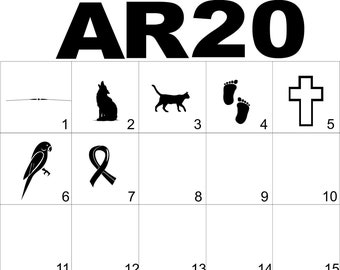 AR20