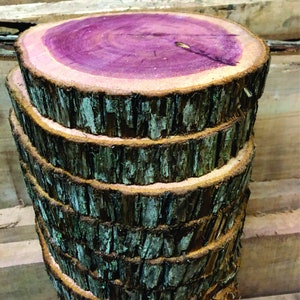 May include: A stack of six round wooden slices with a purple heartwood center and a brown bark exterior. The wood slices are stacked on top of each other, with the top slice being the largest and the bottom slice being the smallest.