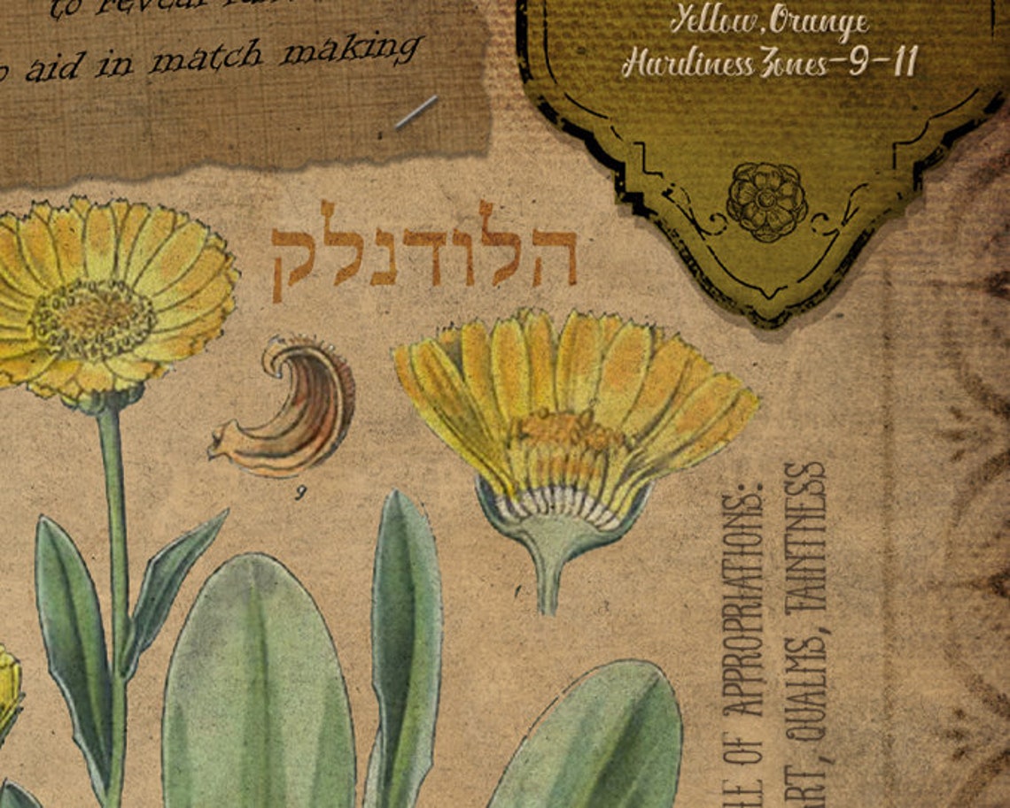 Printable Book of Shadows Herblore Pages Vol 2, Herbarium