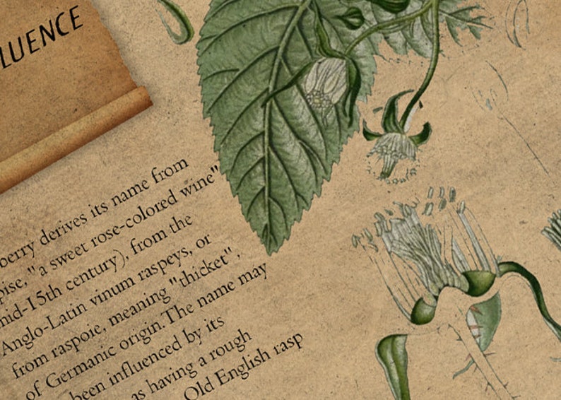 Printable Book of Shadows Herblore Pages Vol 3 Herbal Etsy