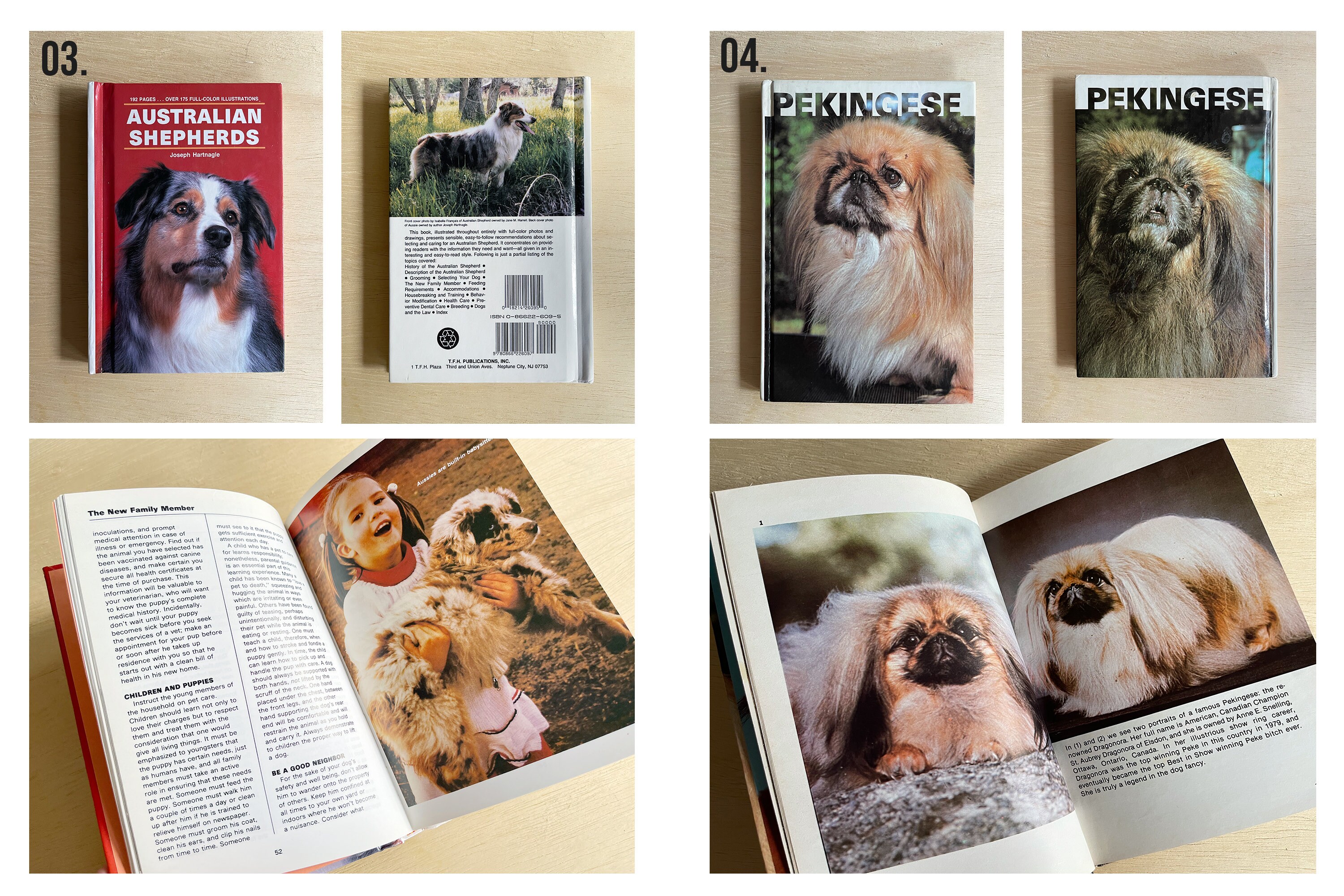 Vintage Dog Breed Books Vintage Book Decor Dog Books Pet Etsy