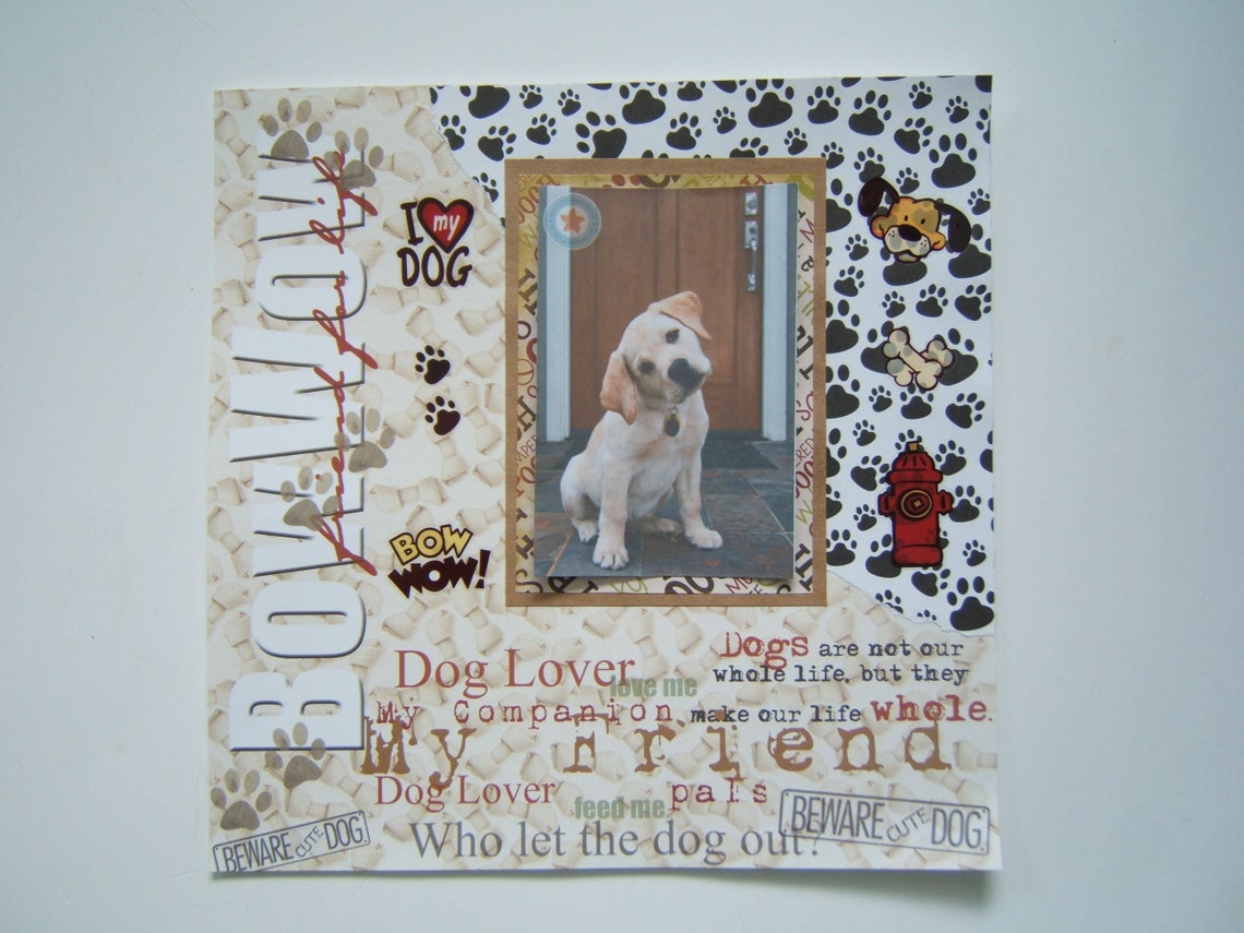 Dog Shadow Box Pet Loss Gift Pet Loss Frame Pet Memorial Etsy