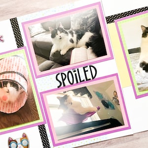 Cat Scrapbook Pages - Premade Cat Scrapbook Pages - Kitten Scrapbook Layouts - Pet Pages