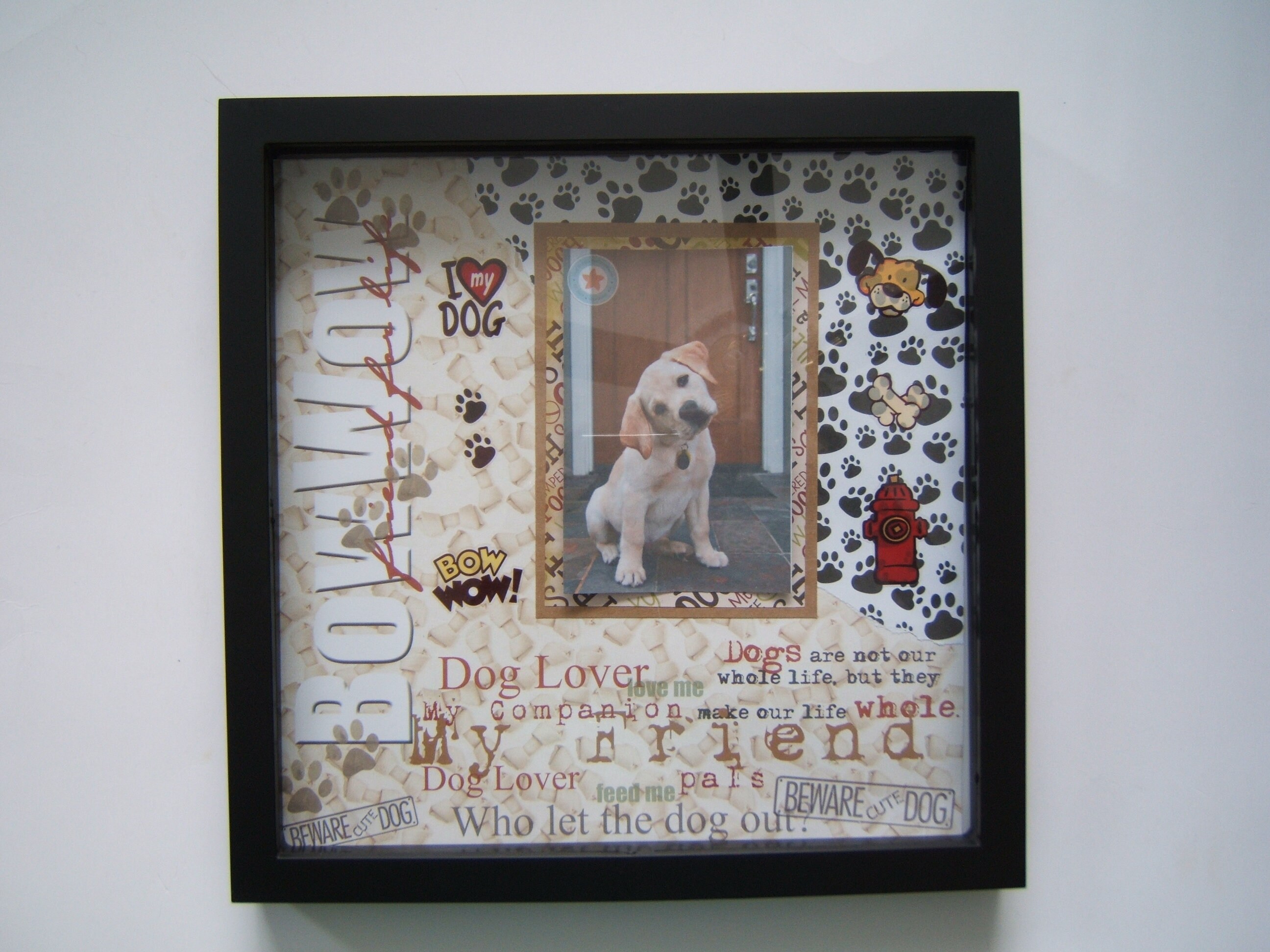 Dog Shadow Box Pet Loss Gift Pet Loss Frame Pet Memorial Etsy