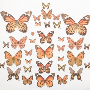 Scrapbook Supplies - Orange Butterfly Die Cuts - Butterfly Embellishments - Card Making Supplies - Butterflies - Scrapbooking Embellishments