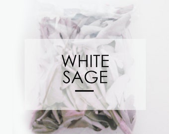 White Sage Leaves w/ Charcoal, use for Cleansing Protection, Positive Energy