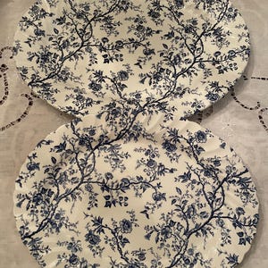 Johnson Brothers Old Bradbury Blue - Etsy
