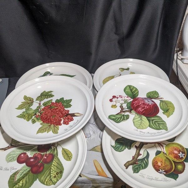 FREE SHIPPING- Vintage set of 6 Ceramic Dinner plates with assorted fruit motif- Pomona by Portmeirion. No Border