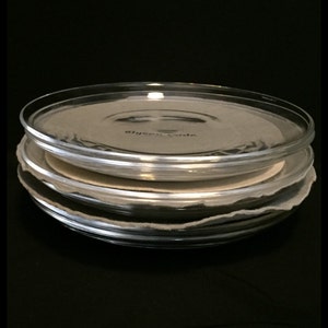 FREE SHIPPING-Impeccable-Rare-Vintage-Set Of 6-Steuben-8&quot;-Dessert-Plates-#7981