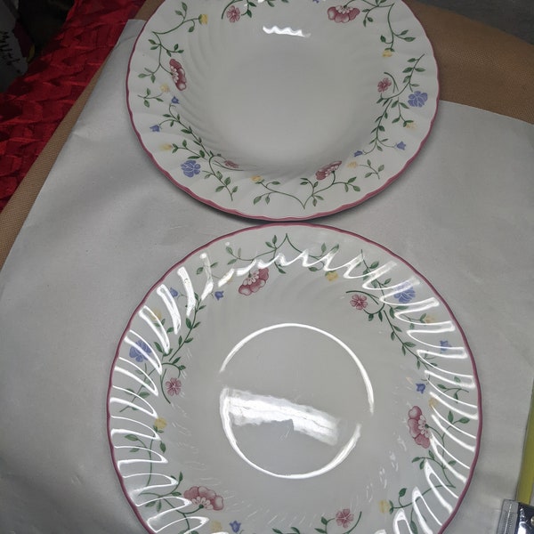 FREE SHIPPING- Pair of 2- Vintage, Johnson Bros. Earthenware Wide Rim Soup Bowls. Summer Chintz. See Below for more info: