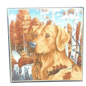 Vintage Labrador Decorative Fabric Storage Box Dog Storage Box Dog Fabric Labrador Fabric