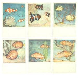 6 Cartes postales anciennes de poisson avec des poissons, Cartes postales anciennes, Cartes d&#39;aquarium