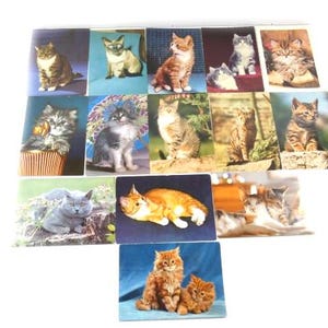 1 cartolina d'auguri vintage con gatto, cartolina con gatto, cartolina con gatto carina, cartolina con gatto, cartolina da collezione, regalo per gli amanti dei gatti